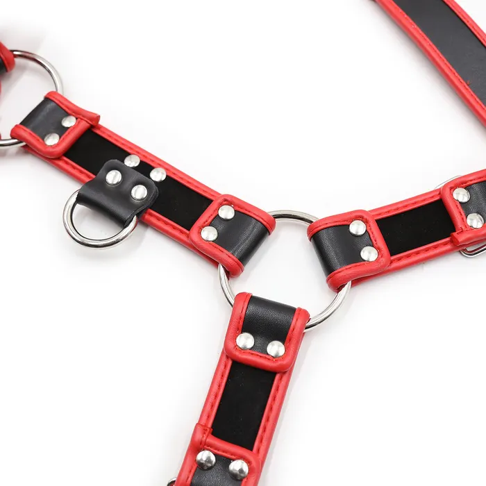 Plesur Company Chest Harness Deluxe Bulldog PVC Vegan Leather Female Sex Toys