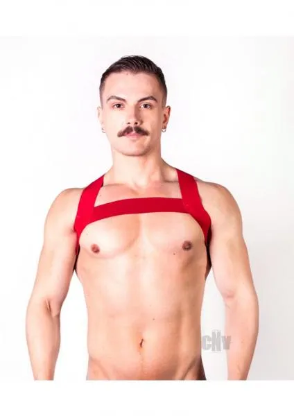 Prowler Red Sports Harness Red LXl Seductucom Vibrators