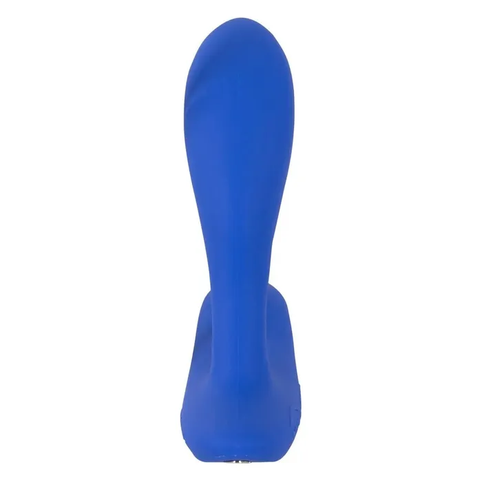 Male Sex Toys WeVibe Luxury Prostate Stimulator with App WeVibe Vector Blue