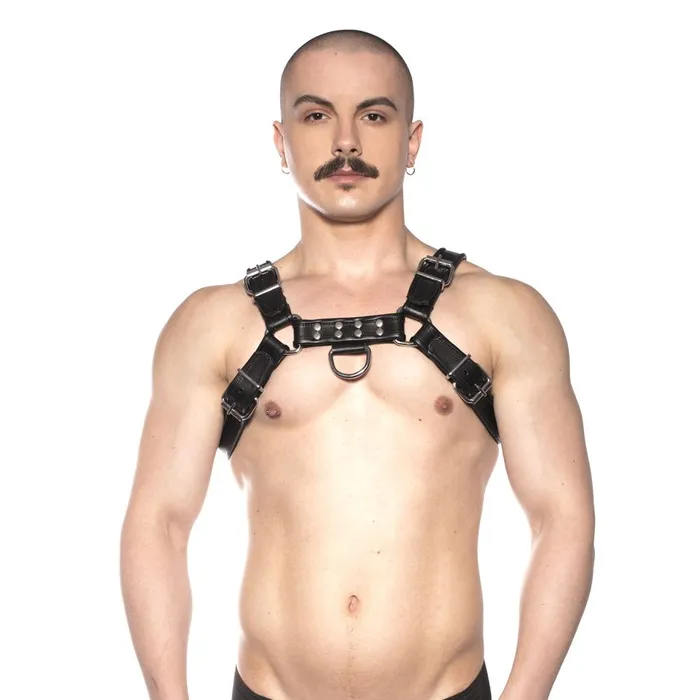 Prowler RED Bull Harness Black Large Prowler Red Anal