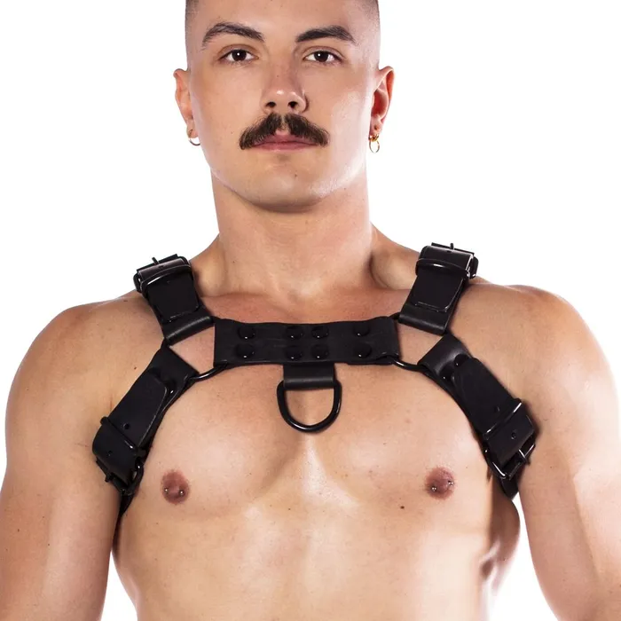 Prowler RED Noir Harness Premium Black Small Prowler Red Anal