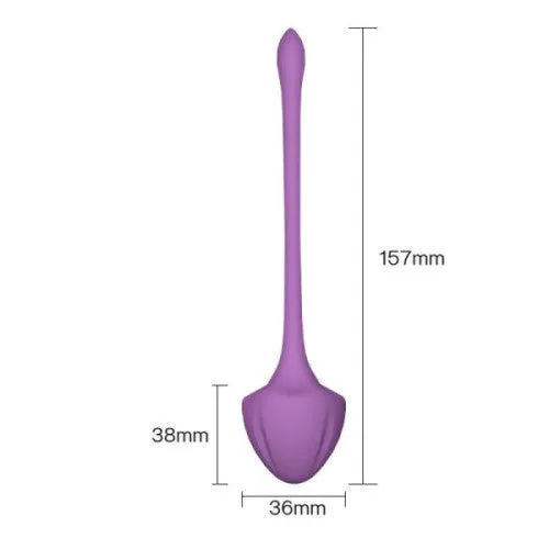 Adults Boutique Nicosia Female Sex Toys VIRGO Traning Set 5 silicone Kegel weighted balls