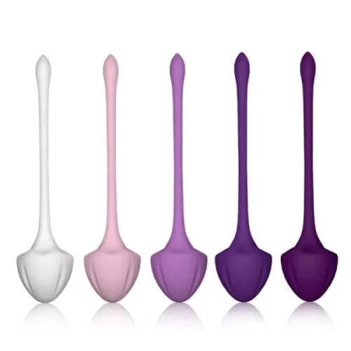 Adults Boutique Nicosia Female Sex Toys VIRGO Traning Set 5 silicone Kegel weighted balls