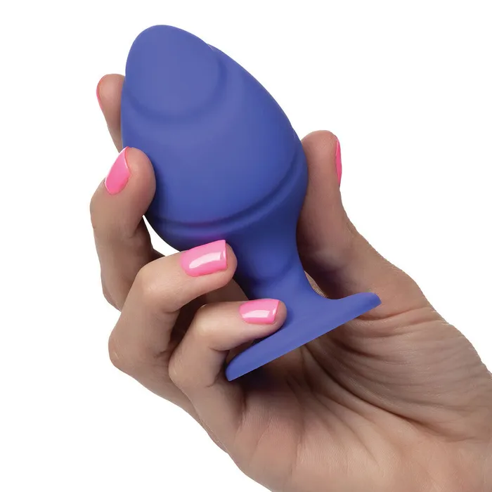 Anal California Exotic Cheeky Butt Plug Duo Purple