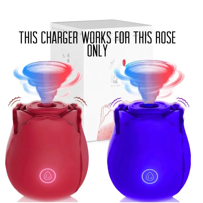 Rose Charger Addicted pleasures Vibrators