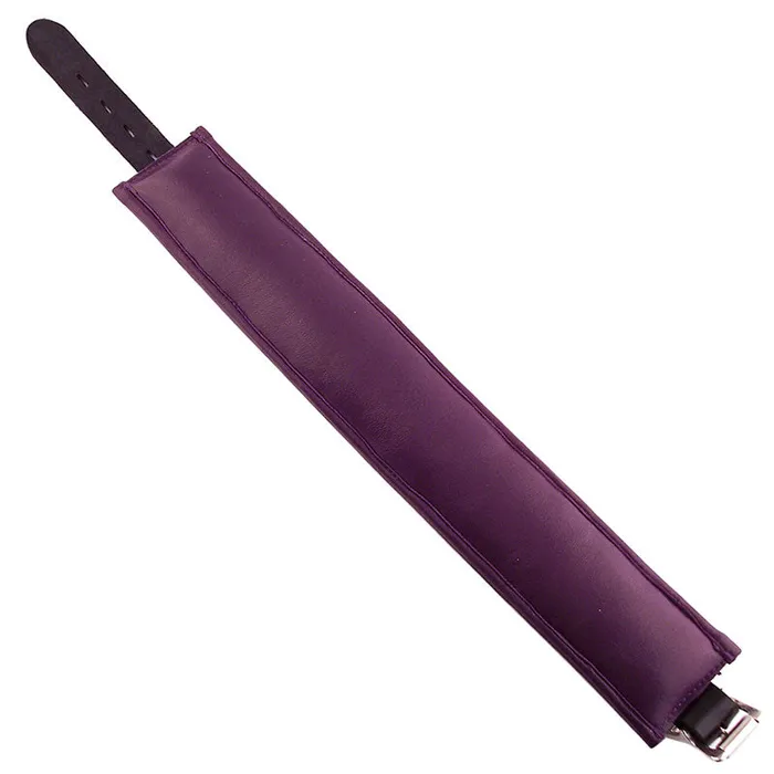 Vibrators Rouge Garments Rouge Garments Black And Purple Padded Collar